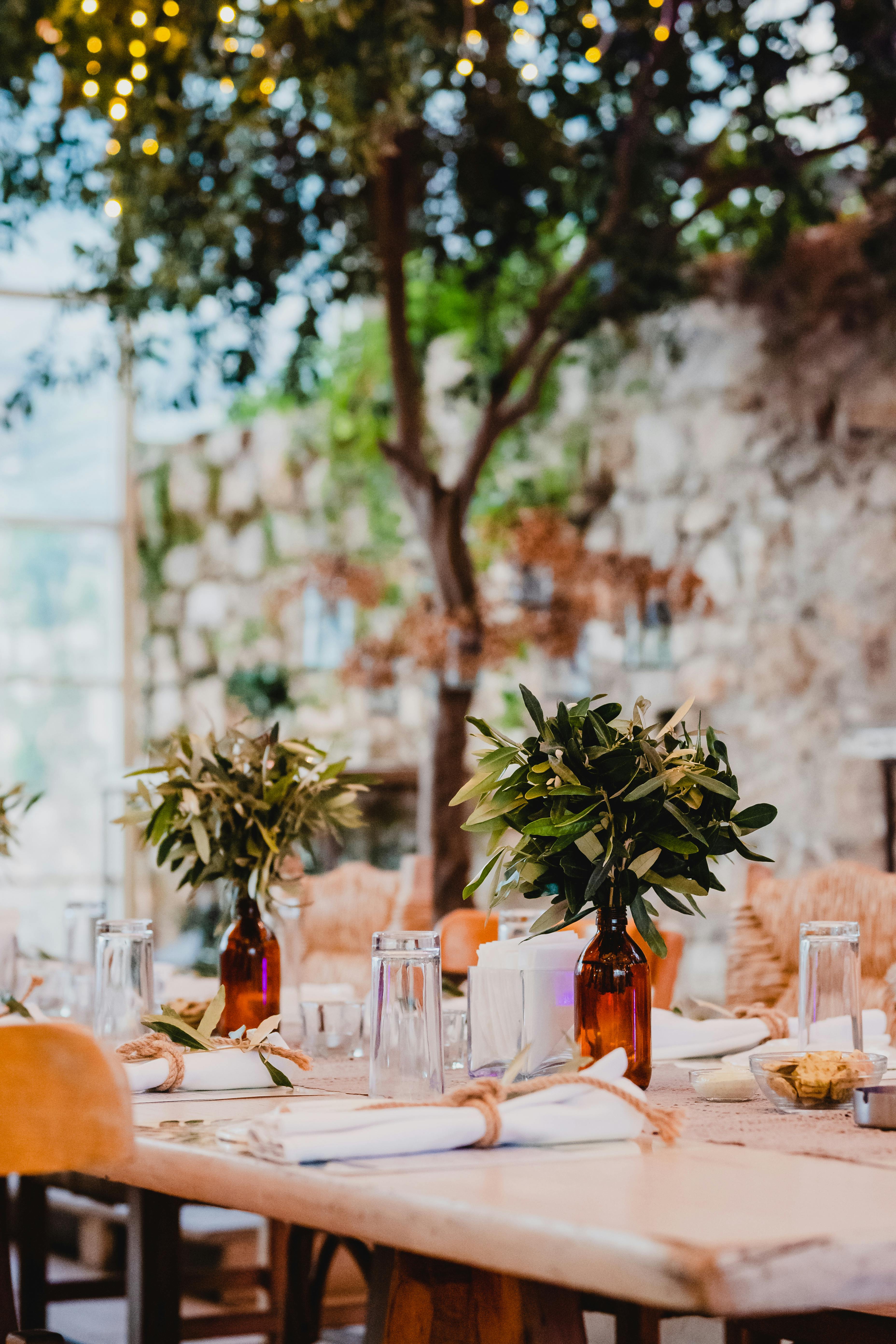 Boda — decoración de mesa con ramas de olivo
